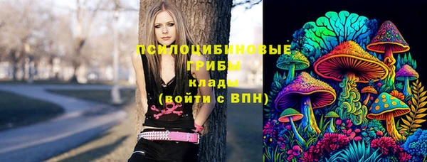 прущая мука Алзамай