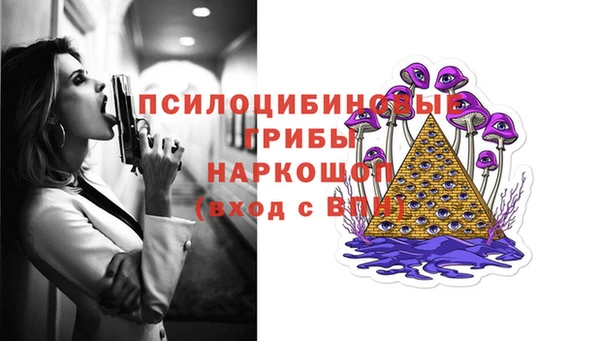 кокс Алексин