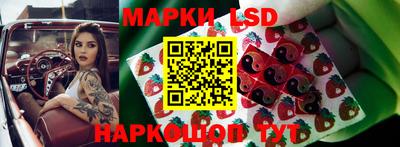 гидропоника Рузаевка