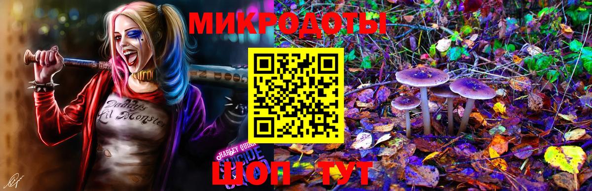 Псилоцибиновые грибы Magic Shrooms  Вход с VPN  Арзамас 