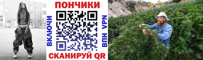 Бошки марихуана сатива  MEGA вход  Арзамас 